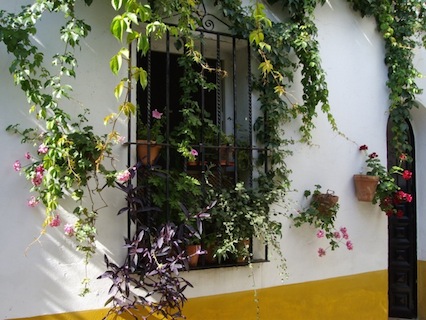 Independent room in Seville