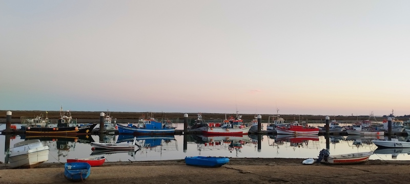 boats